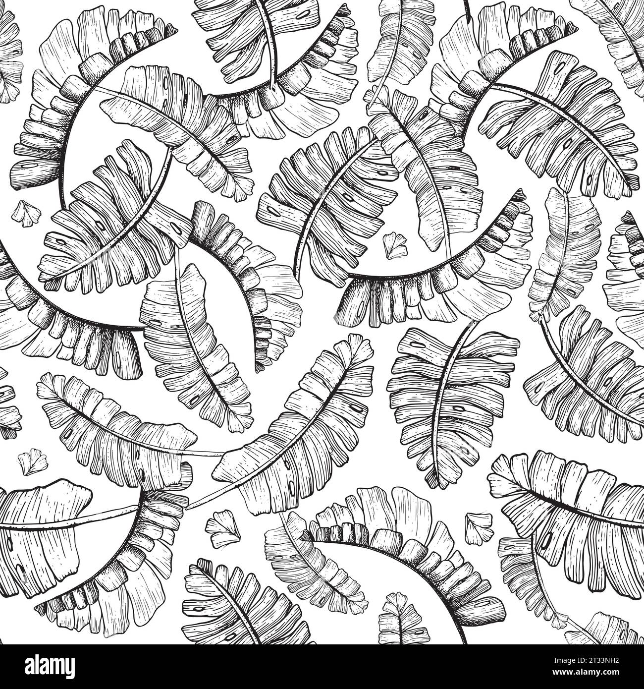 Vector black and white graphic tropical palm leaves seamless pattern with jungle plants and monstera Stock Vector