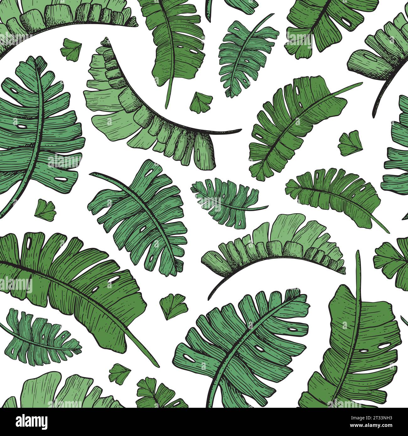 Vector green tropical palm leaves seamless pattern with jungle plants ...