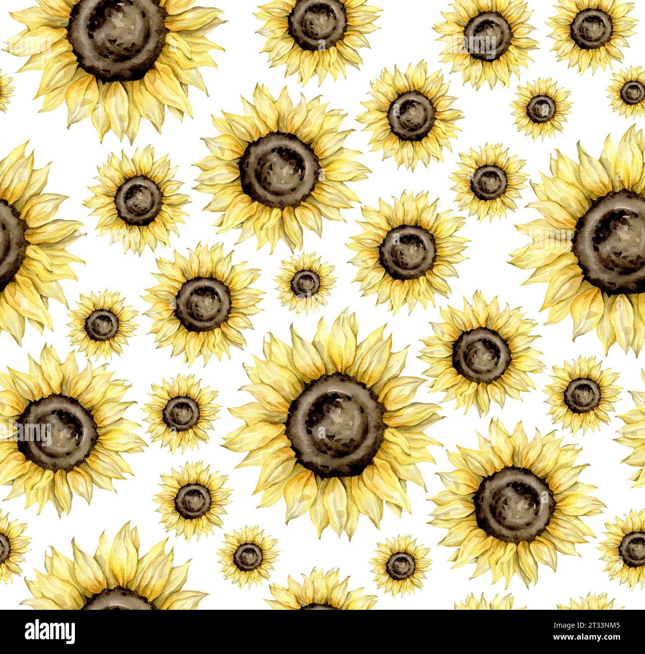 seamless pattern with hand drawn watercolor sunflowers. autumn set Hand ...