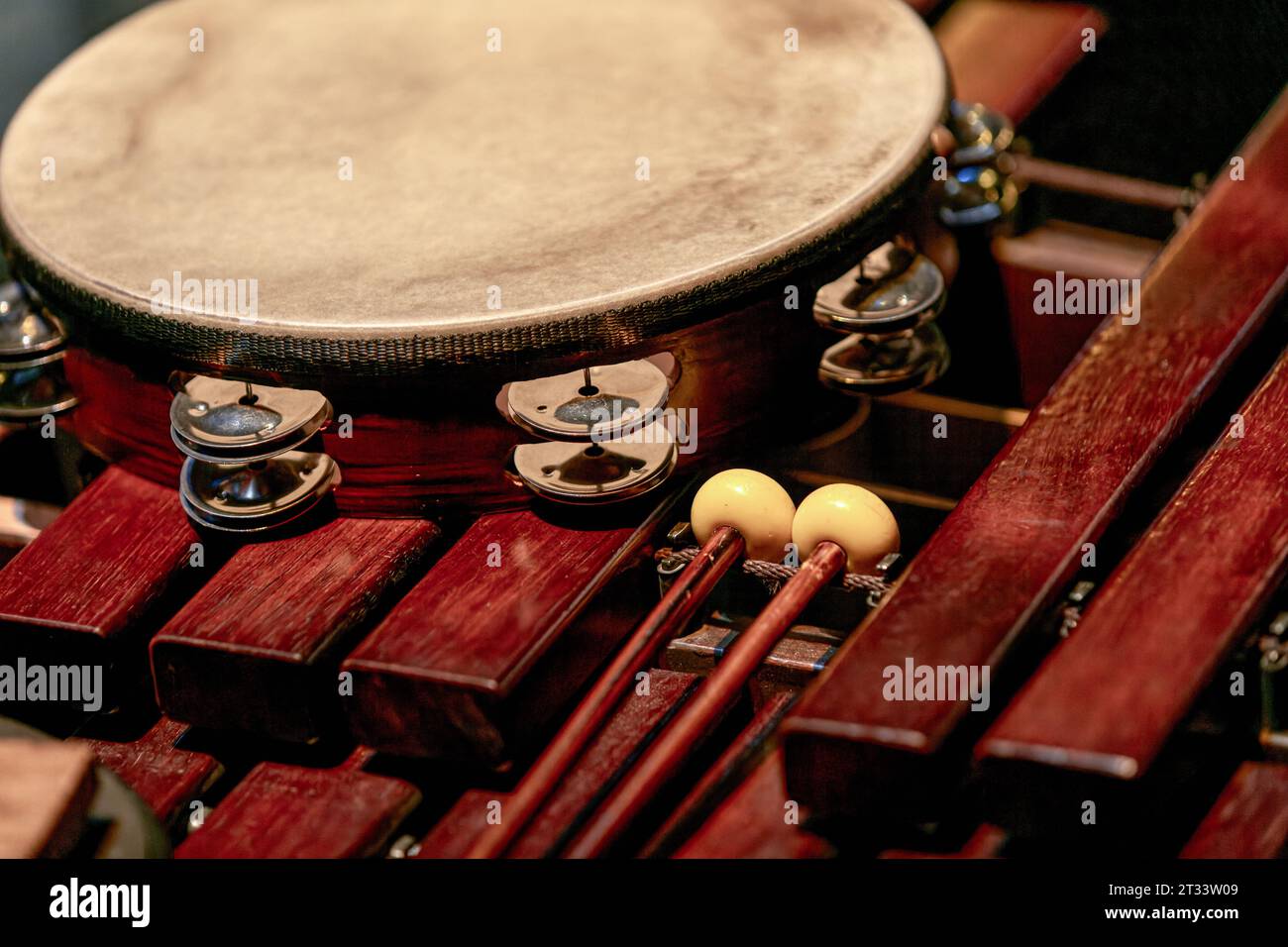 A native xylophone in an sale instrument bamboo keyboard on top
