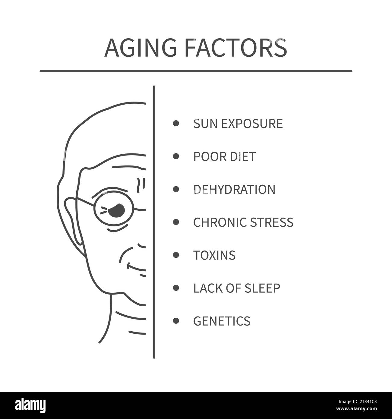 Skin aging factors educational infographics Stock Vector