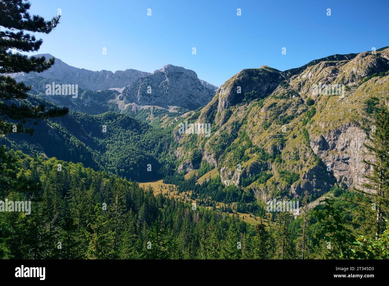 green valley surrounded by mountain peaks along the footpath from the Sutjeska National Park in Bosnia and Herzegovina to Trnovacko Lake in Nature Par Stock Photo