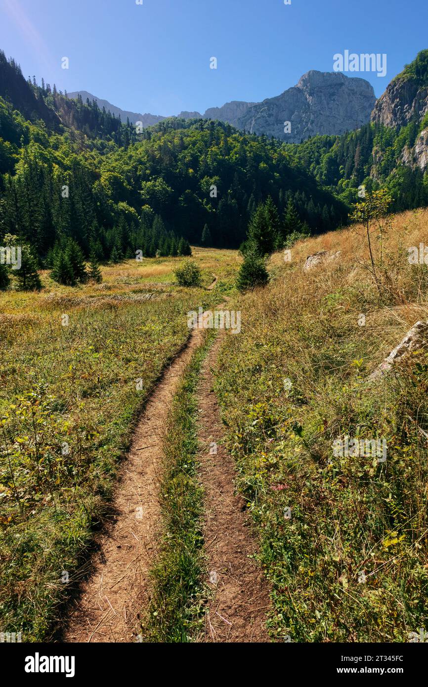 footpath to Trnovacko Lake in Nature Park Piva (Montenegro) from the Sutjeska National Park (Bosnia and Herzegovina) Stock Photo