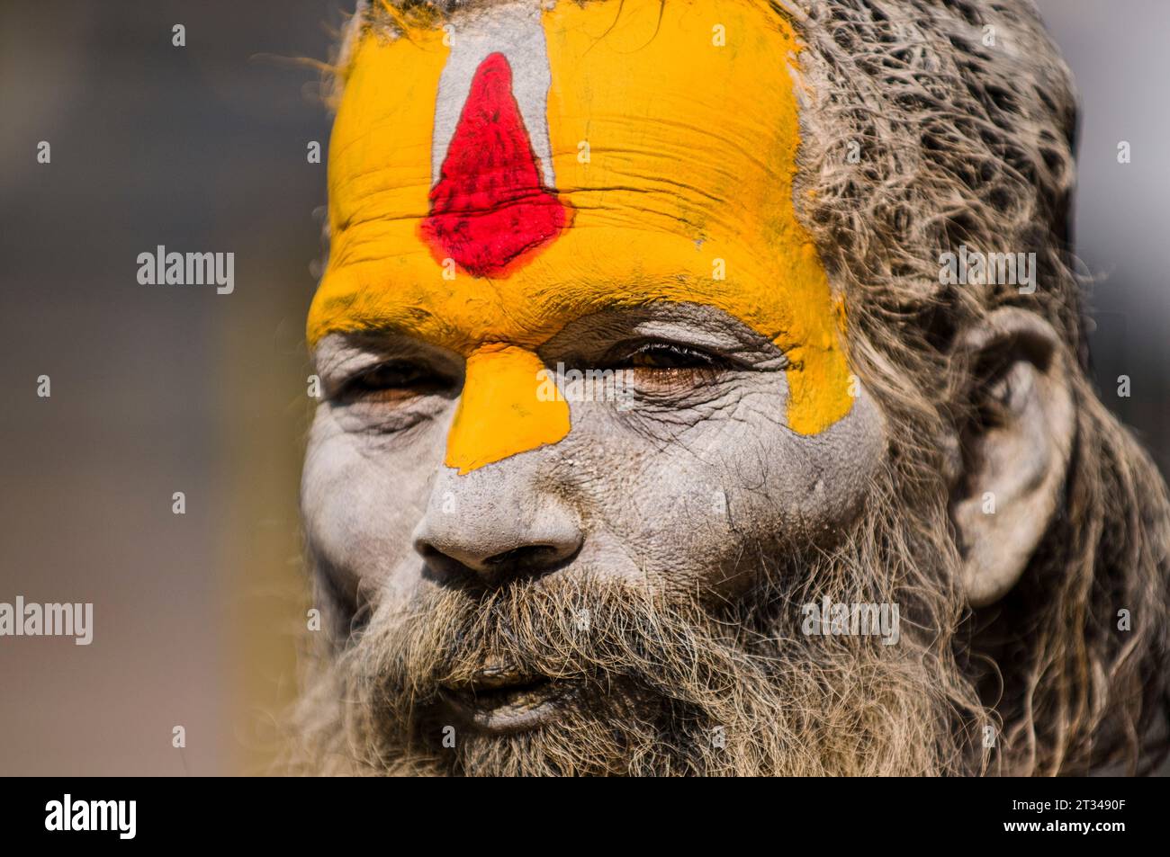 A Shaivite sadhu or Hindu ascetic at Pashupatinath Temple in Kathmandu, Nepal Stock Photo