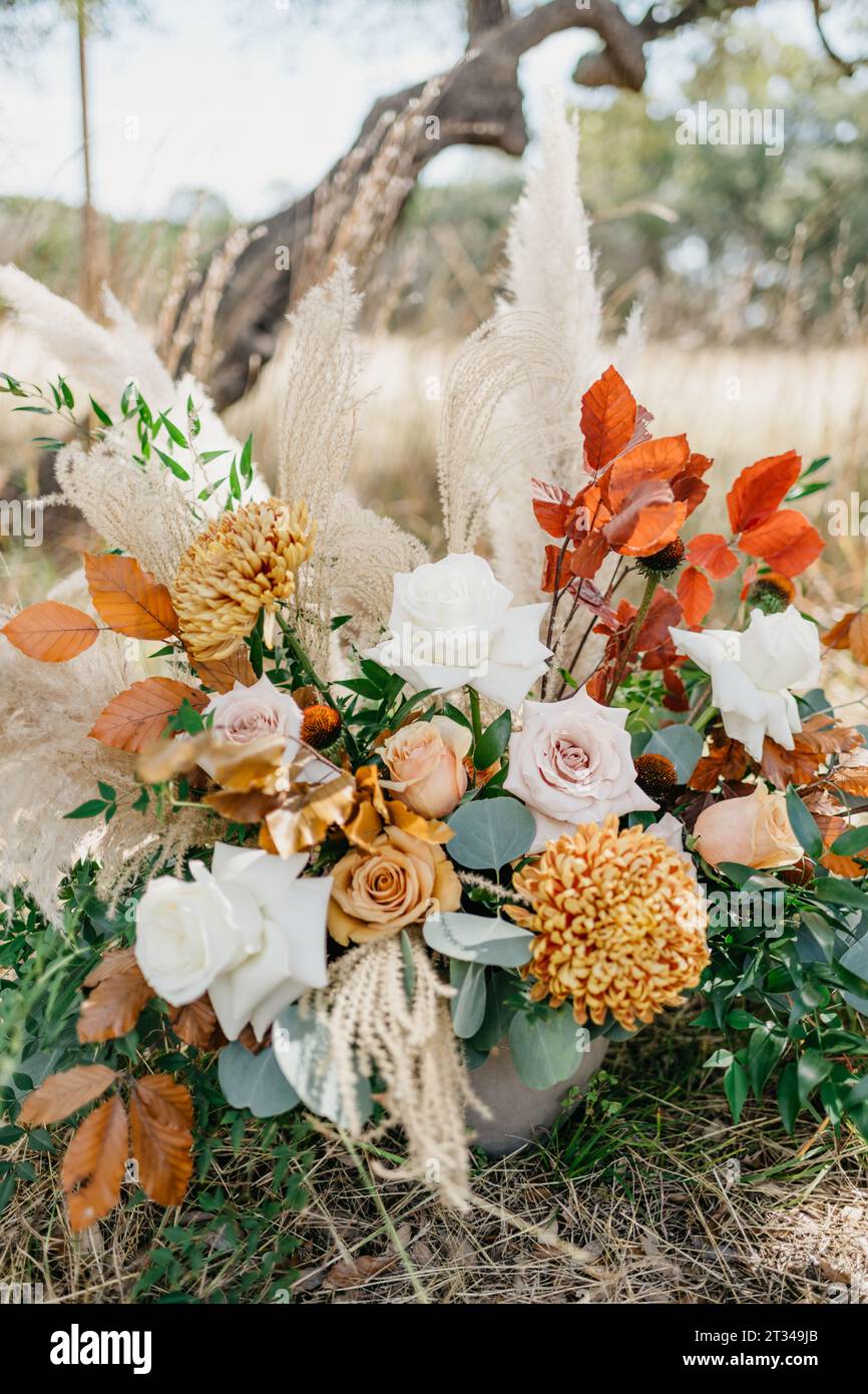 Autumn Florals with Pampas Grass Stock Photo