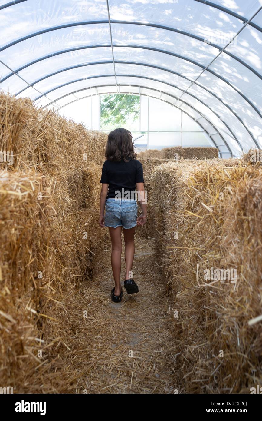 Young girl wanders through hay maze at fall festival Stock Photo