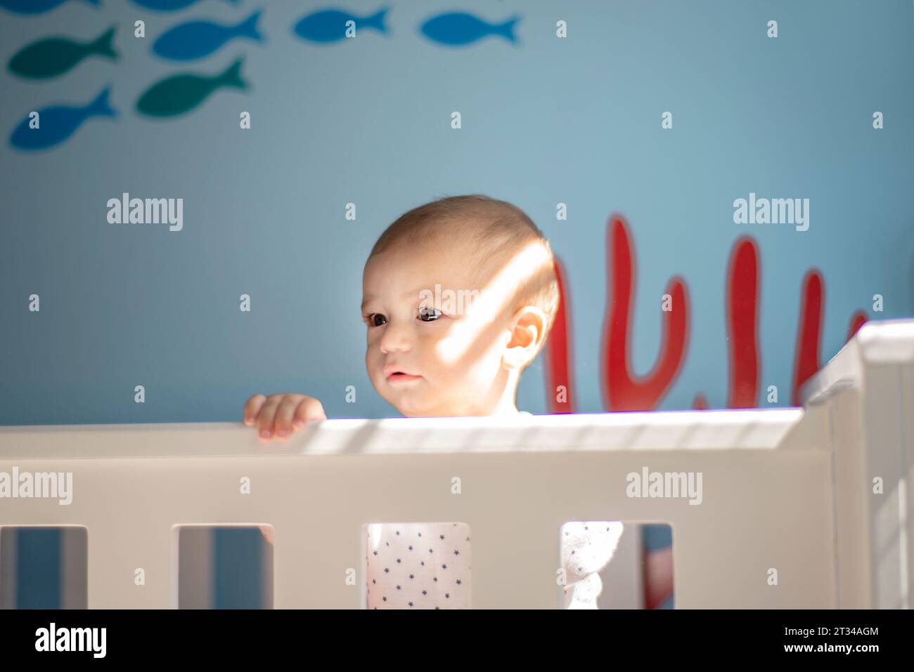beautiful baby in his crib in his room Stock Photo Alamy