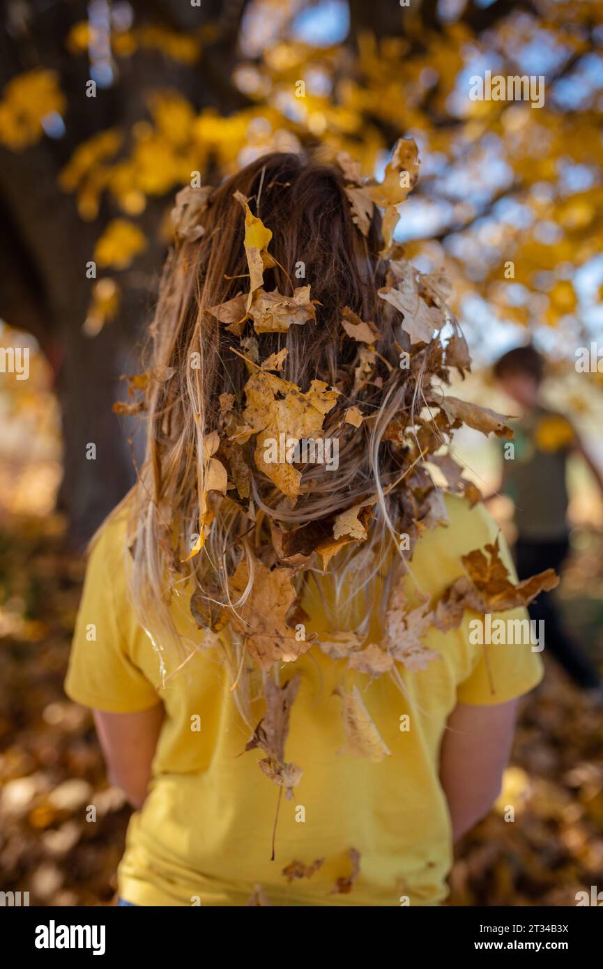 Autumn leaves stuck in long hair with brother in the background Stock Photo