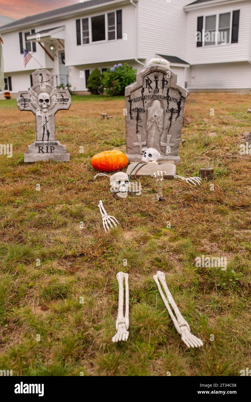 Outdoor Halloween Decorations; Graveyard and Skeletons Stock Photo Alamy