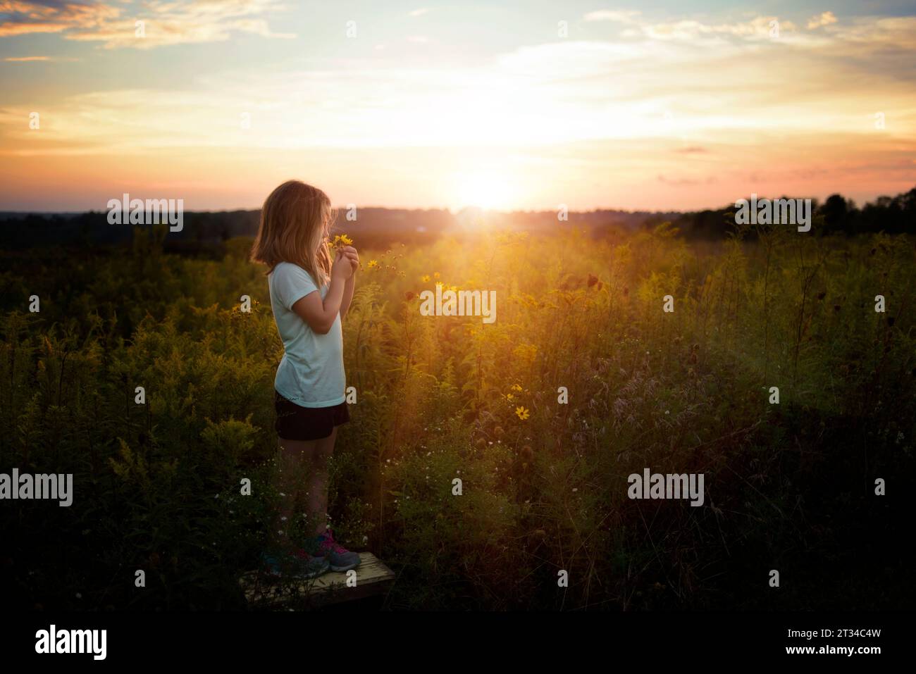 Child smelling food or flower hi-res stock photography and images - Alamy