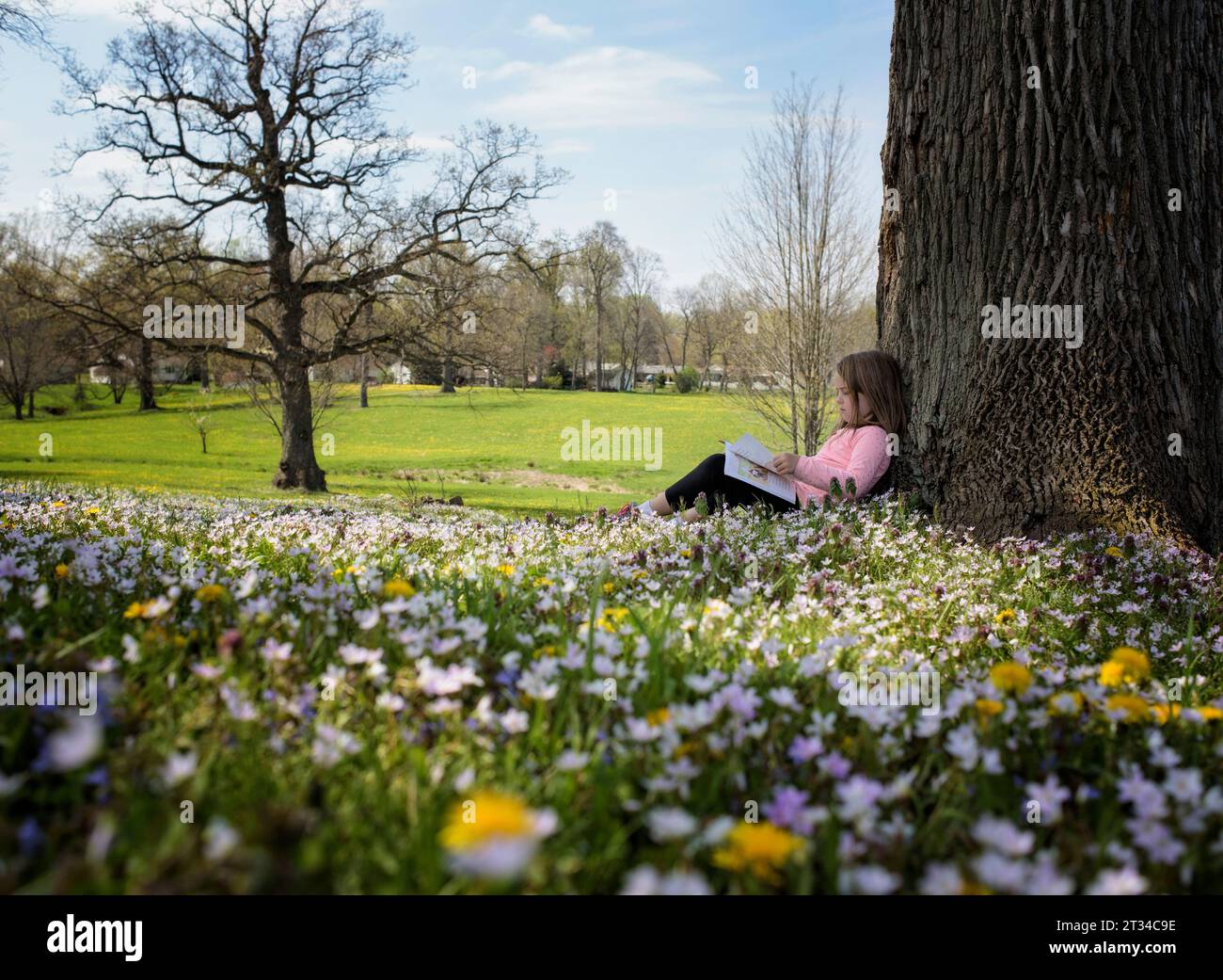 Little girl reading in field of flowers Stock Photo Alamy