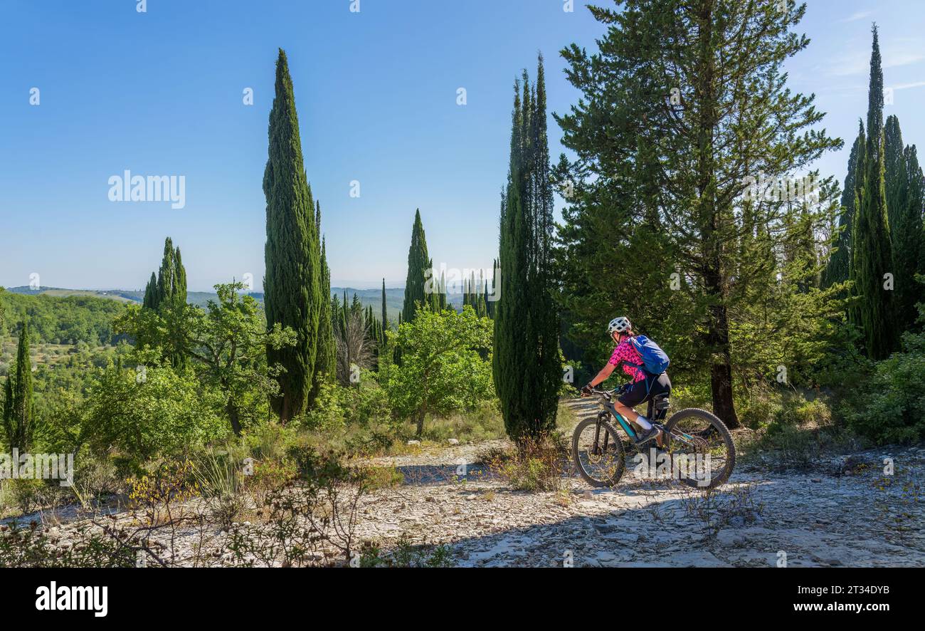 nice senior woman riding her electric mountain bike between cypress and olive trees in the Ghianti Area of Tuscany,Italy Stock Photo