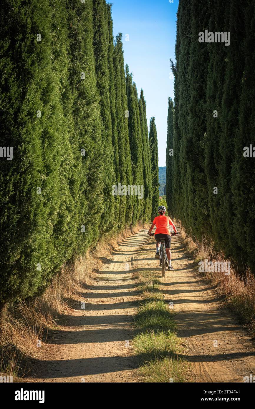 nice senior woman riding her electric mountain bike in a cypress avenue in the Ghianti Area of Tuscany,Italy Stock Photo