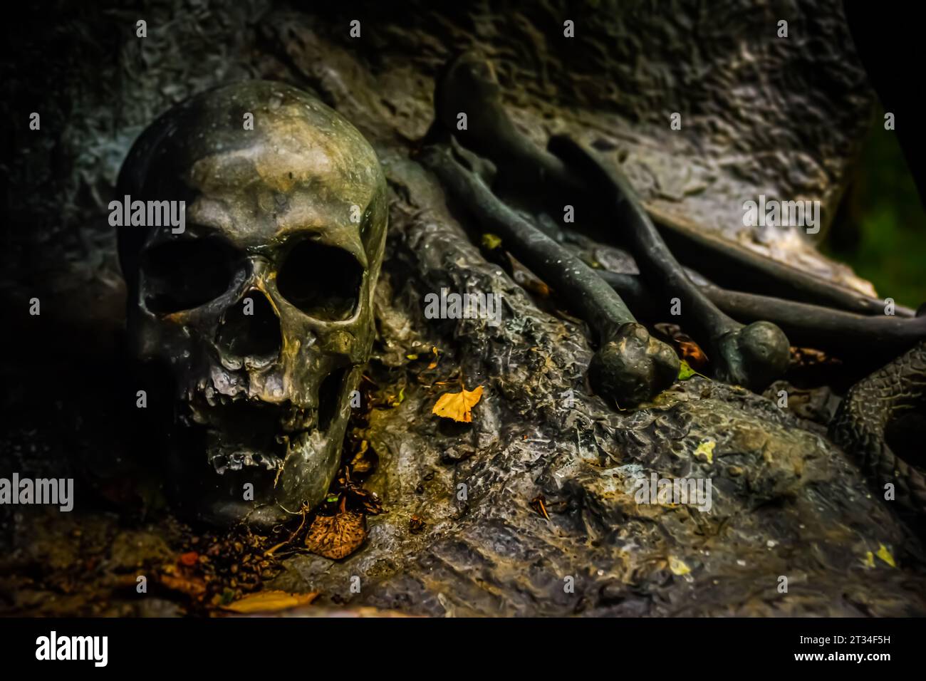 Skull sculptures in stone by craftsmen in Mahabalipuram, India, now populate a sculpture park in County Wicklow, Ireland. Stock Photo