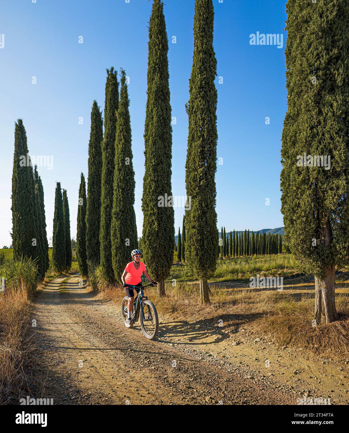 nice senior woman riding her electric mountain bike in a cypress avenue in the Ghianti Area of Tuscany,Italy Stock Photo
