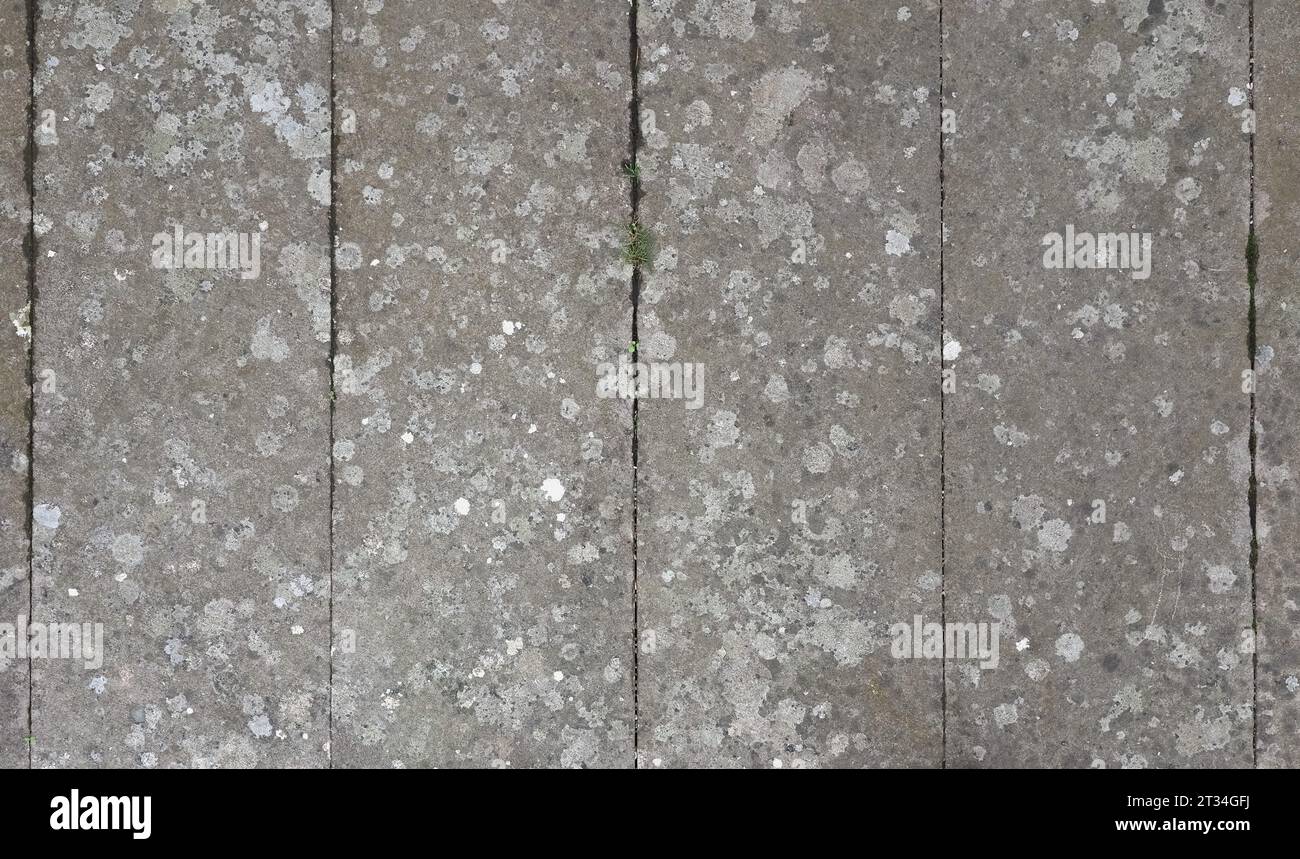 grey concrete texture useful as a background Stock Photo