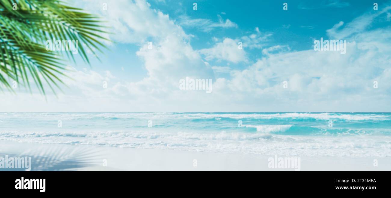 Sunny tropical beach background with palm trees, sand and ocean waves ...