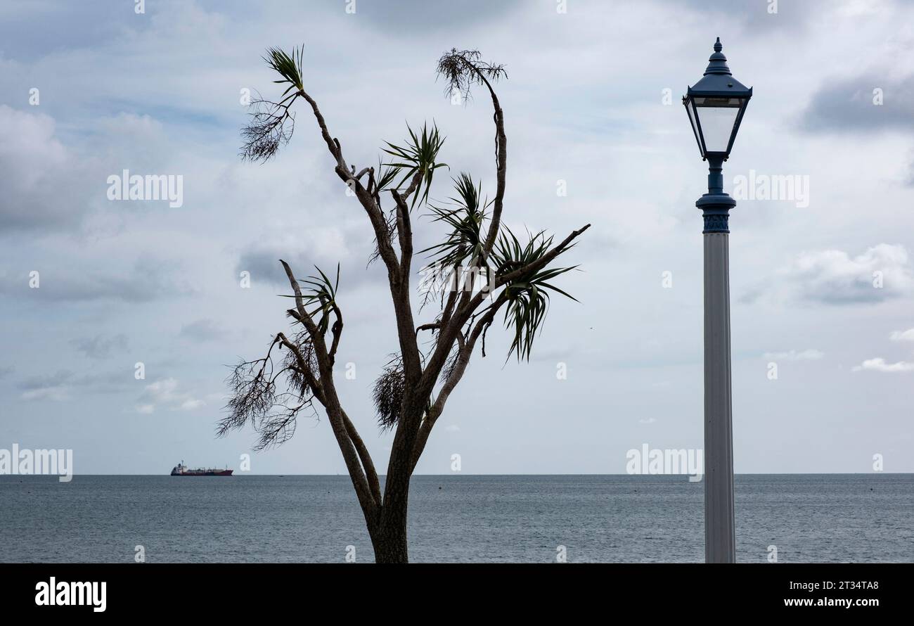 A ship, a dead tree and an old street lamp on the seafront at Weymouth, Dorset, England. Stock Photo