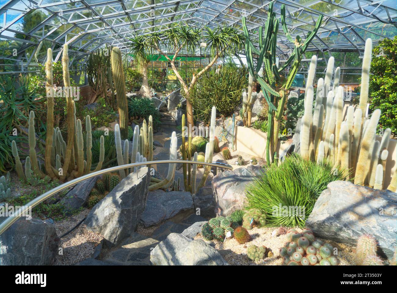 Inverness Botanic Gardens cactus house,  near the River Ness on the west bank. Close to the Ness Islands pathway.   Inverness, Highlands, Scotland, U Stock Photo