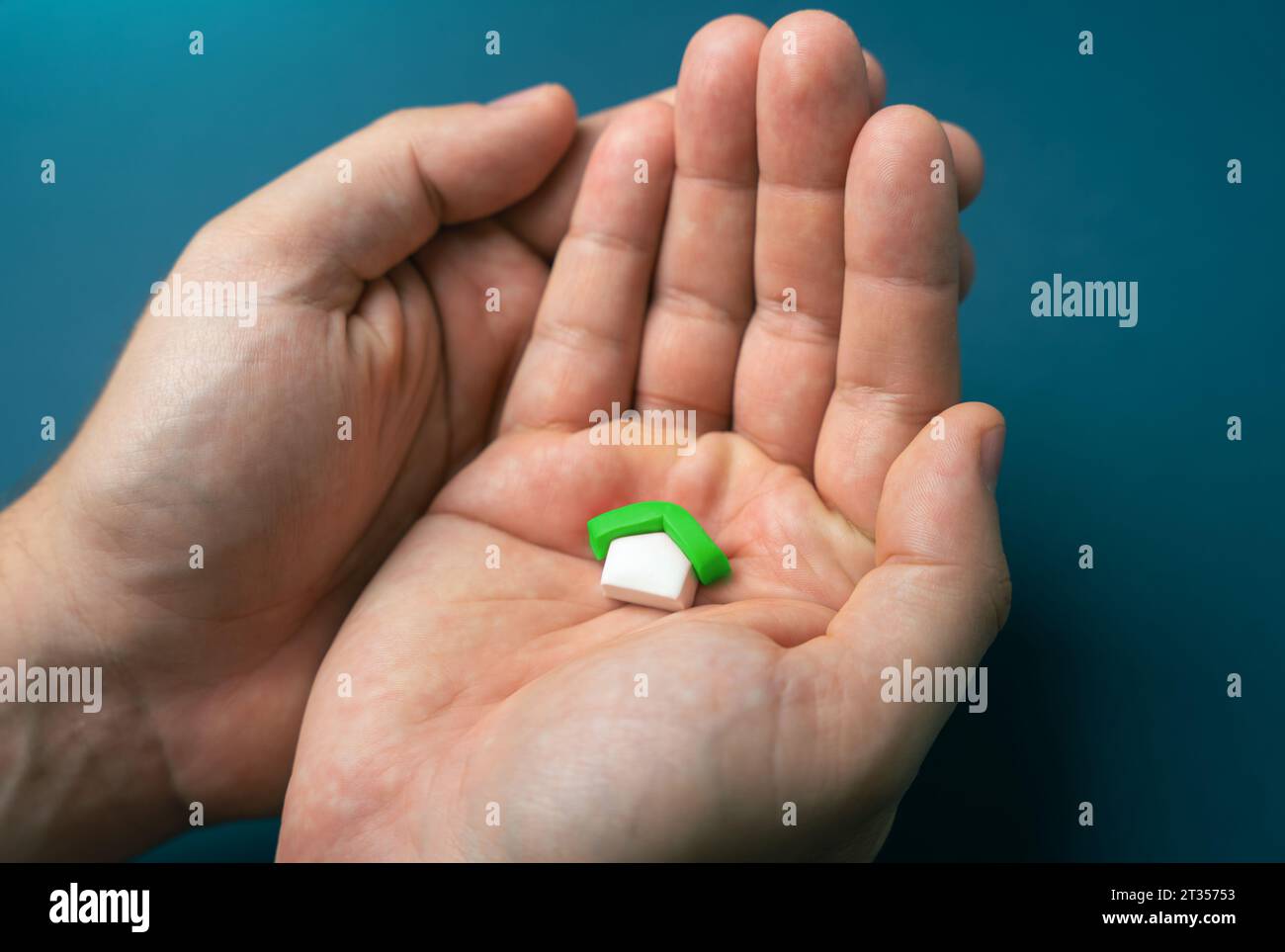 Photo inspiration: Picture Idea: Green House In Hands Green Technologies In Construction Ecological