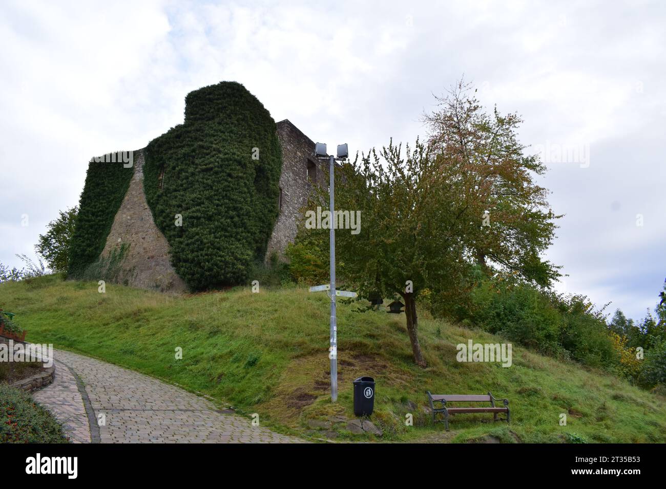 castle ruin above Ulmen Stock Photo - Alamy