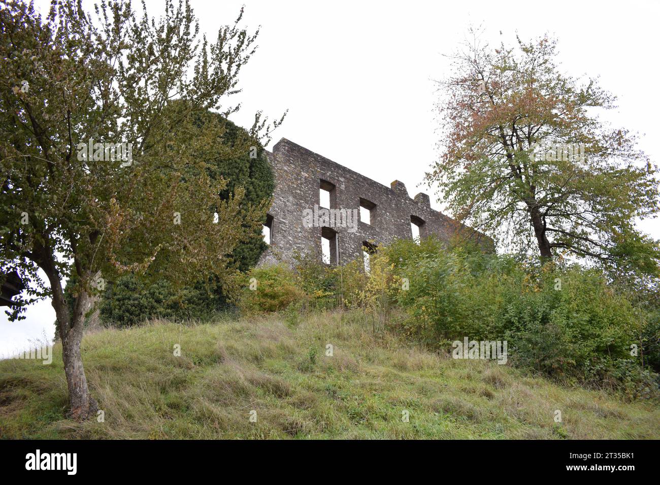 castle ruin above Ulmen Stock Photo - Alamy