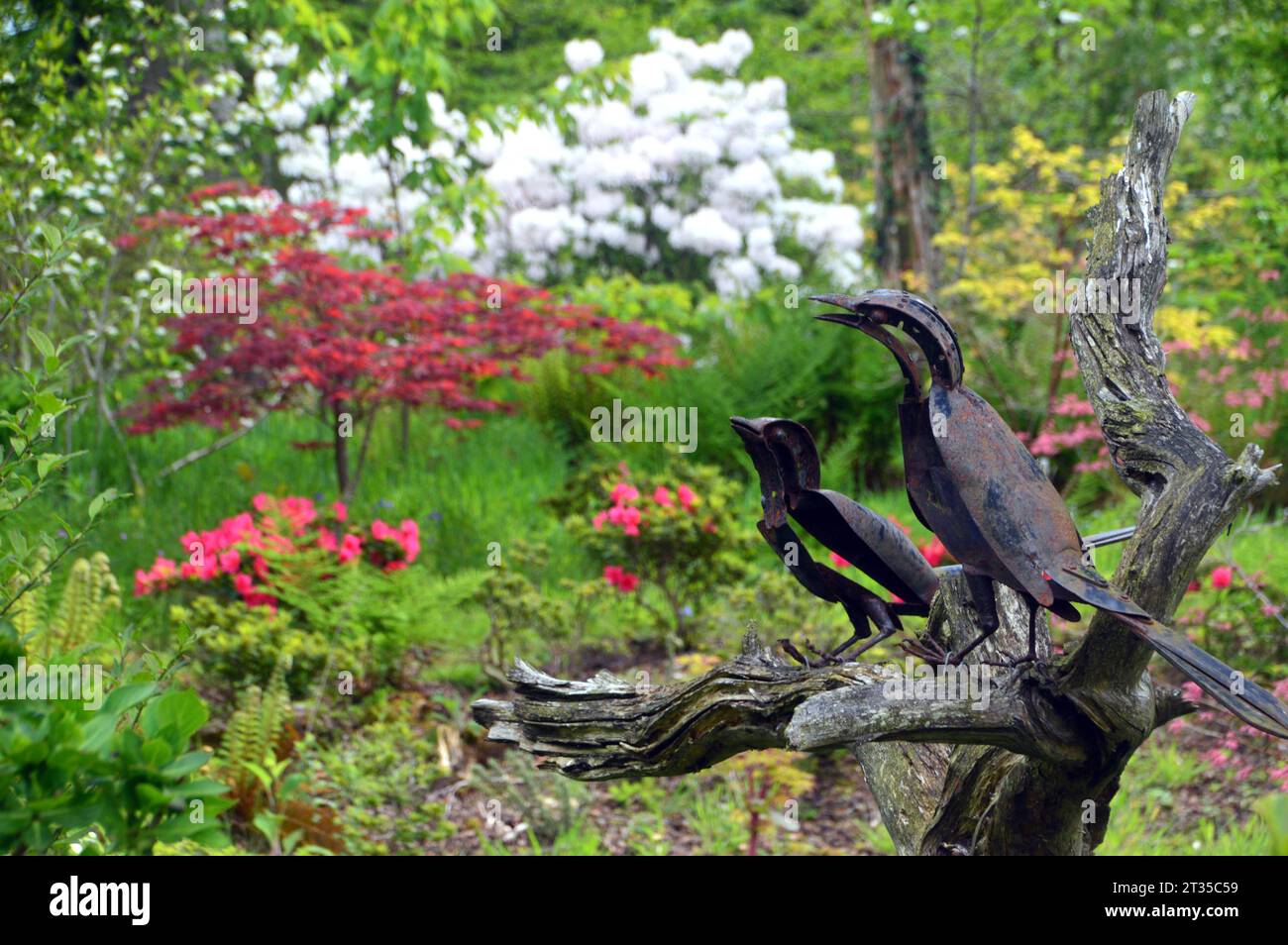 Pair of Metal Magpies on a Dead Tree by Sculptor Helen Denerley in the Himalayan Garden & Sculpture Park, North Yorkshire, England, UK. Stock Photo