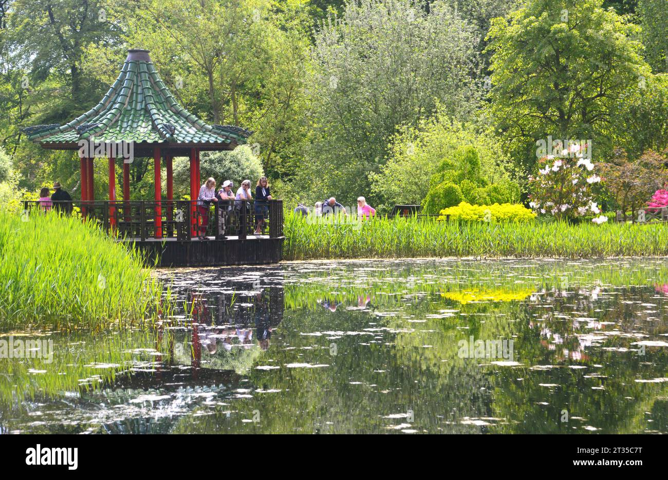 The Ting Pagoda & People Reflected in the Magnolia Lake at the ...