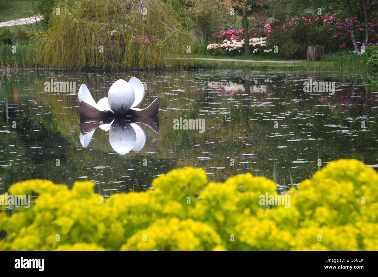 Floating Lily Sculpture Reflected in the Magnolia Lake with Marsh Spurge at the Himalayan Garden & Sculpture Park near Ripon, North Yorkshire, England Stock Photo