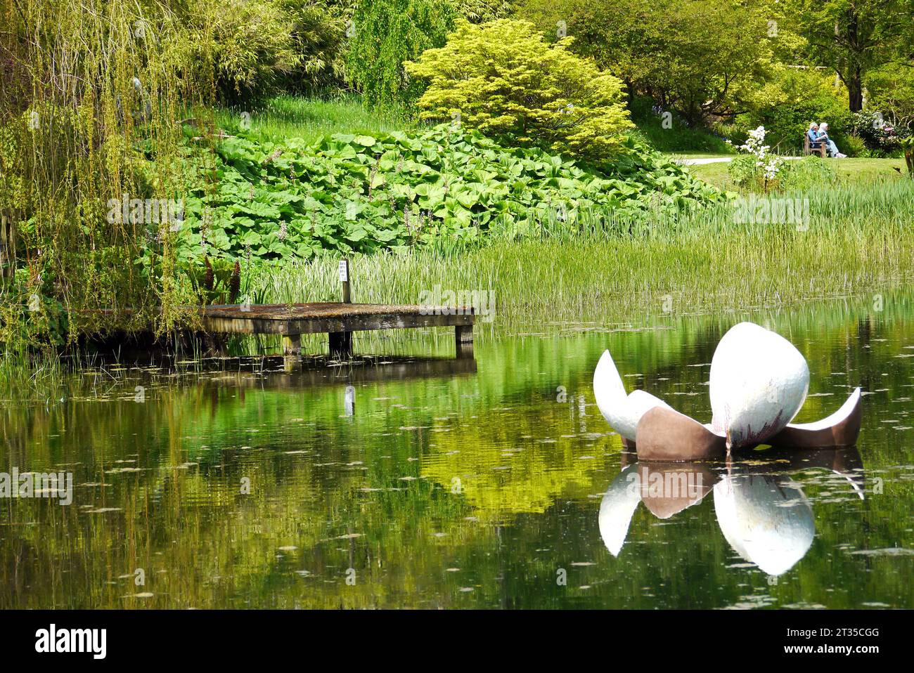 Floating Lily Sculpture & Wooden Pier Reflected in the Magnolia Lake at the Himalayan Garden & Sculpture Park near Ripon, North Yorkshire, England, UK Stock Photo