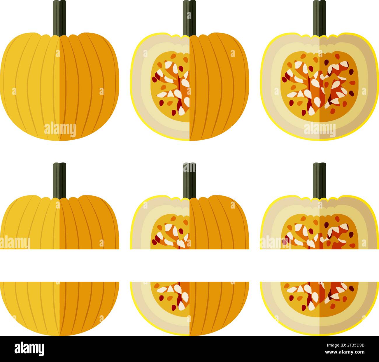 Set of Mellow Yellow Pumpkin. Winter squash. Cucurbita pepo. Fruits and vegetables. Flat style. Isolated vector illustration. Stock Vector