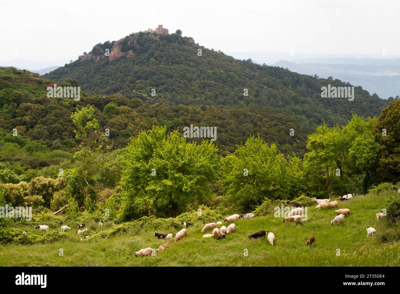 IN THE FOOTSTEPS OF ANTONIO GANDI IN CATALONIA Stock Photo