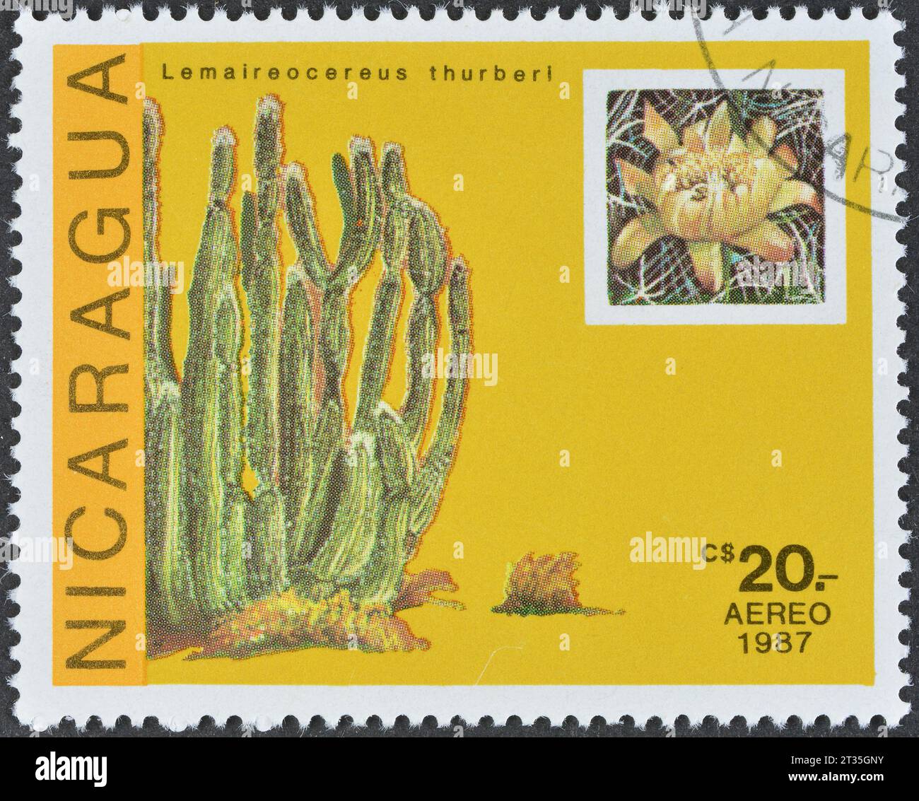 Cancelled postage stamp printed by Nicaragua, that shows Lemaireocereus thurberi - the organ pipe cactus, circa 1987. Stock Photo