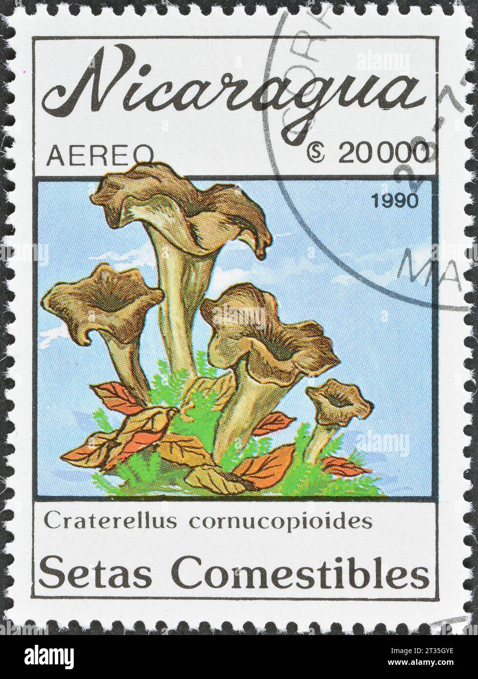 Cancelled postage stamp printed by Nicaragua, that shows Craterellus