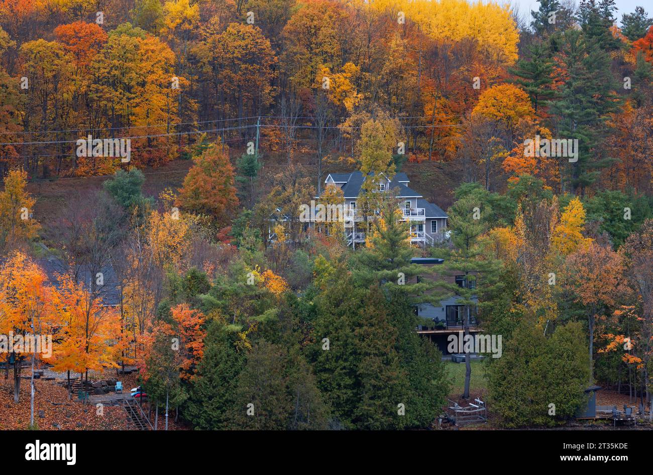 Beautiful autumn landscape with colours along the Madawaska river Stock Photo