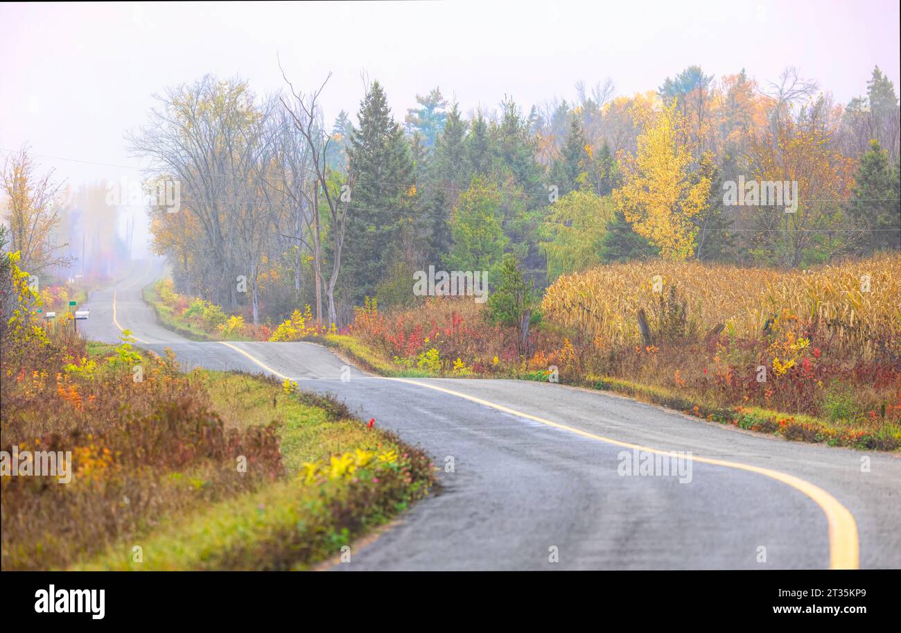 Colourful leaves in fall along a country dirt road near Pakenham, Ontario, Canada Stock Photo