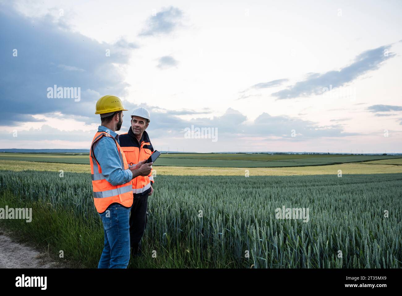 Engineers discussing with tablet PC by crop in field Stock Photo