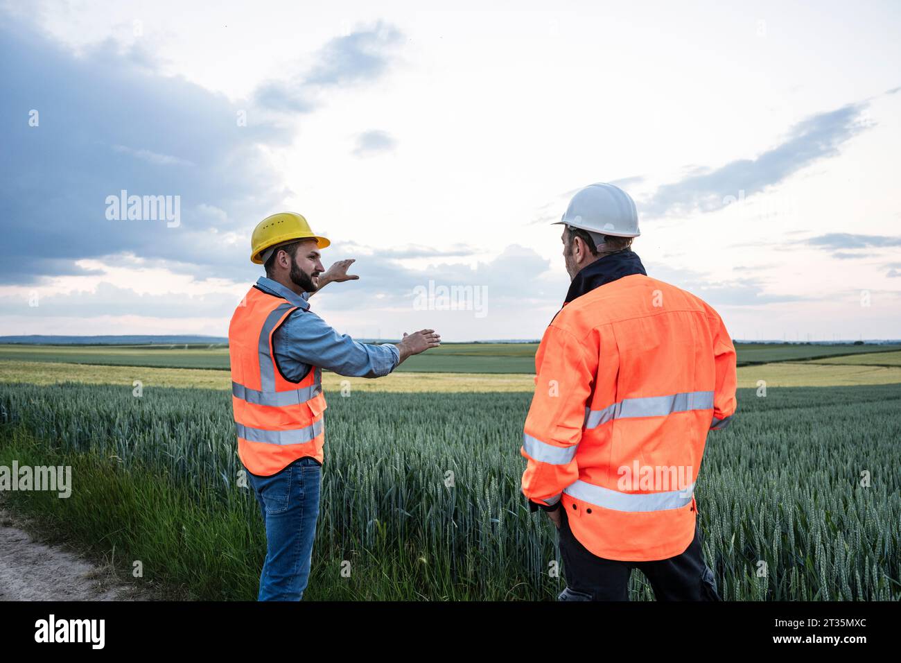 Engineers discussing by crop in field Stock Photo