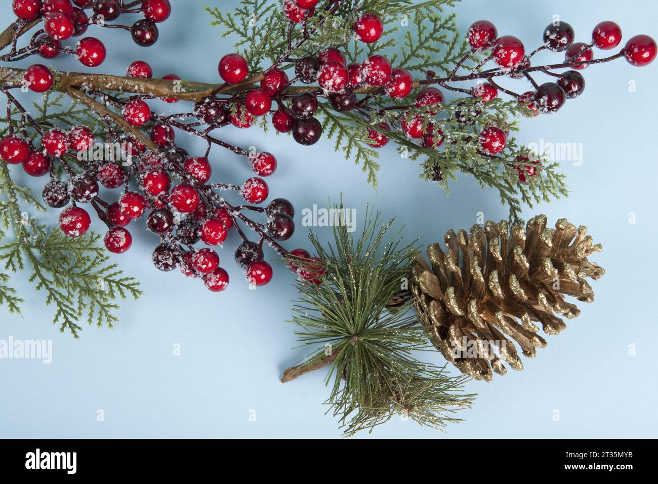 a holly branch with its berries and a golden pine cone set against a ...