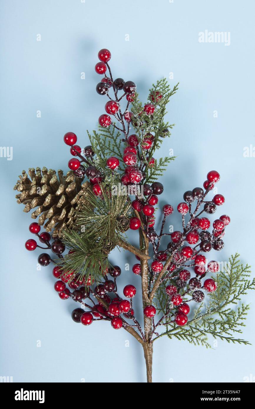 a holly branch with its berries and a golden pine cone set against a ...