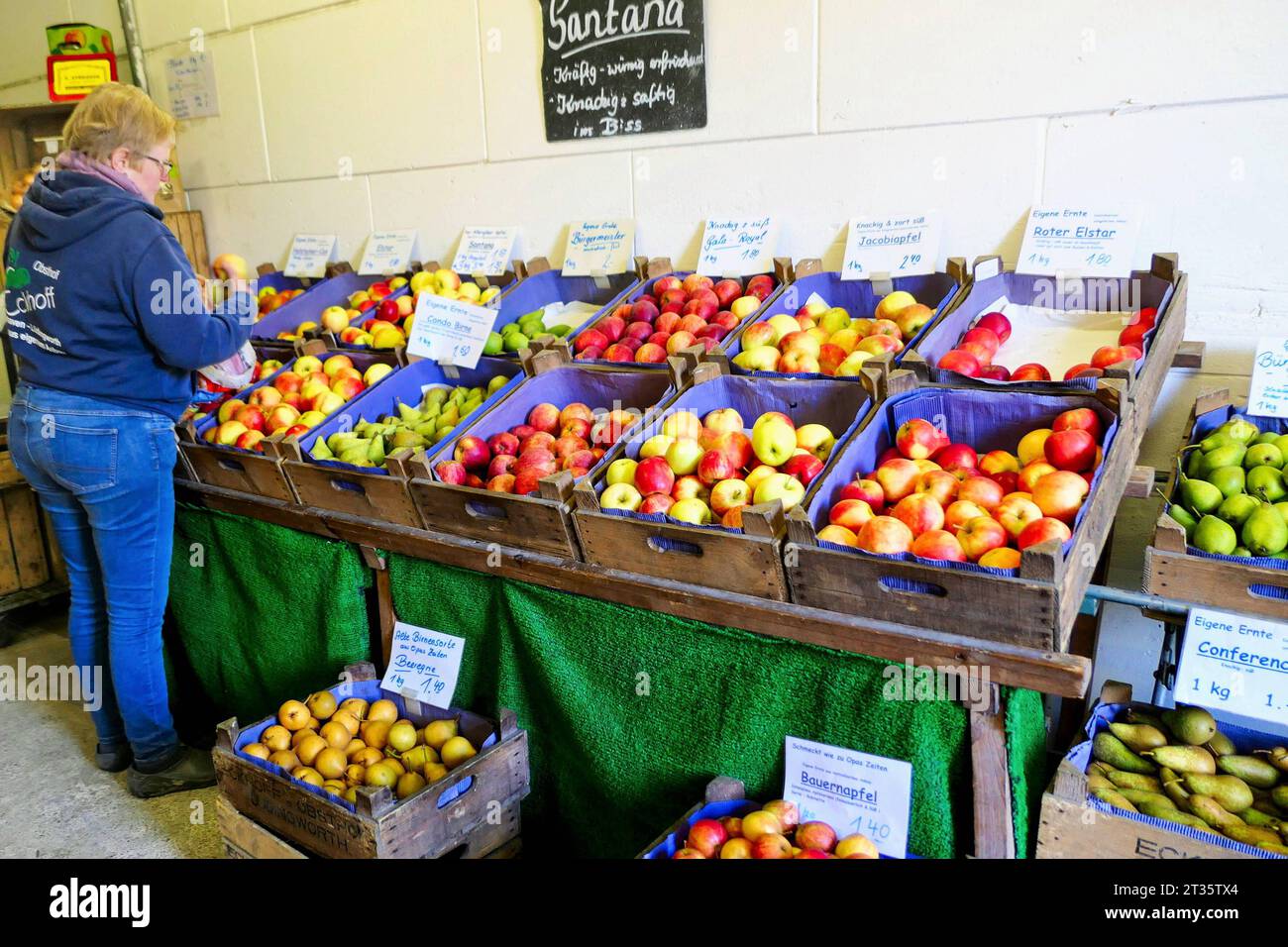 Obst Verkauf beim Erzeuger - hier gesehen im Alten Land am 16.10.2023 *** Fruit sale at the grower seen here in the Old Country on 16 10 2023 Credit: Imago/Alamy Live News Stock Photo