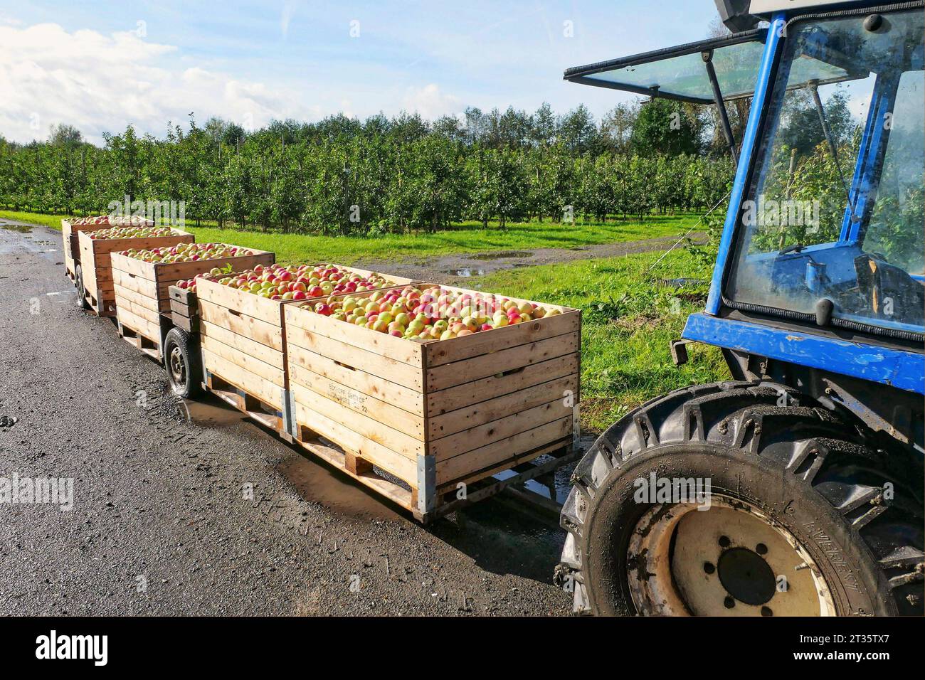 Traktor im weinberg hi-res stock photography and images - Alamy