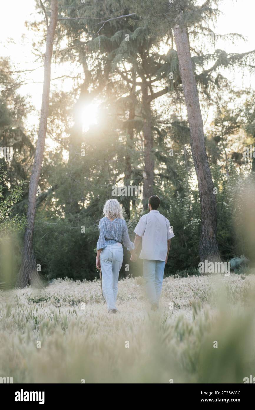 Romantic couple holding hands and walking in park Stock Photo - Alamy