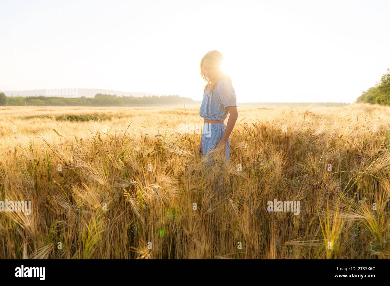 Back lit girl standing in wheat field Stock Photo - Alamy