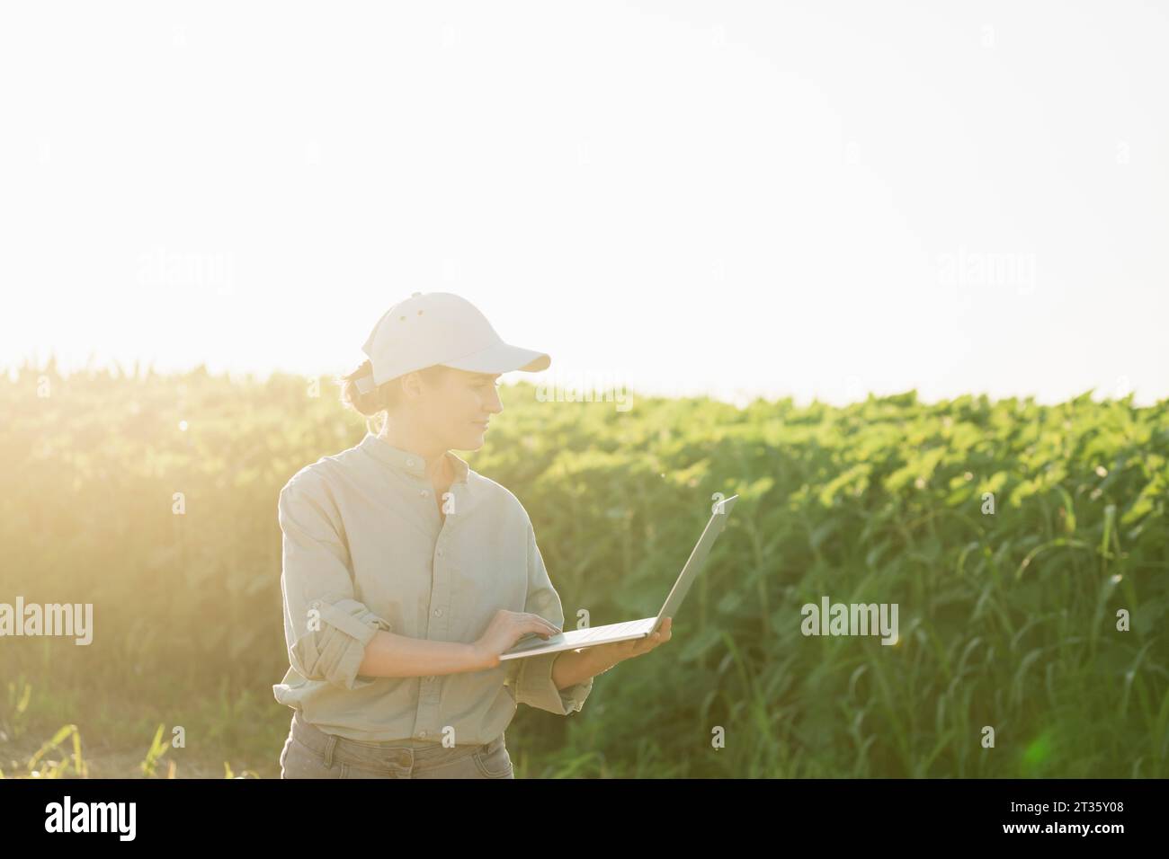 Farmer using laptop at field on sunny day Stock Photo