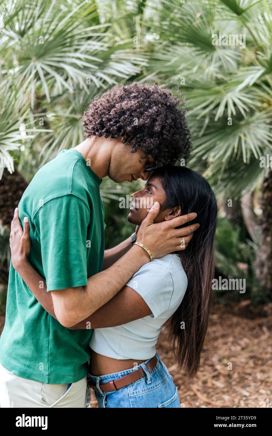 Affectionate couple hugging in park Stock Photo - Alamy