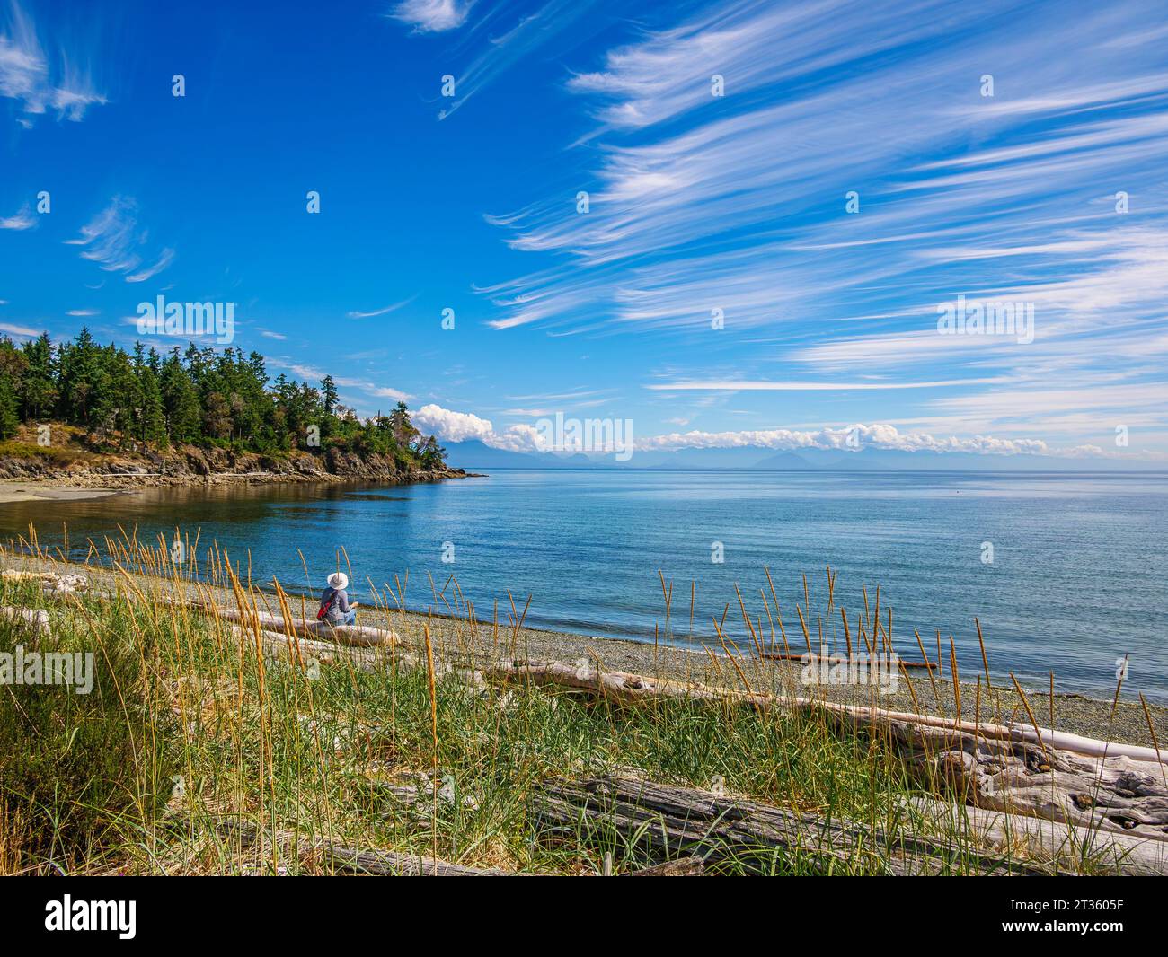 A solitary person sitting on a driftwood log on the shore of Lock Bay