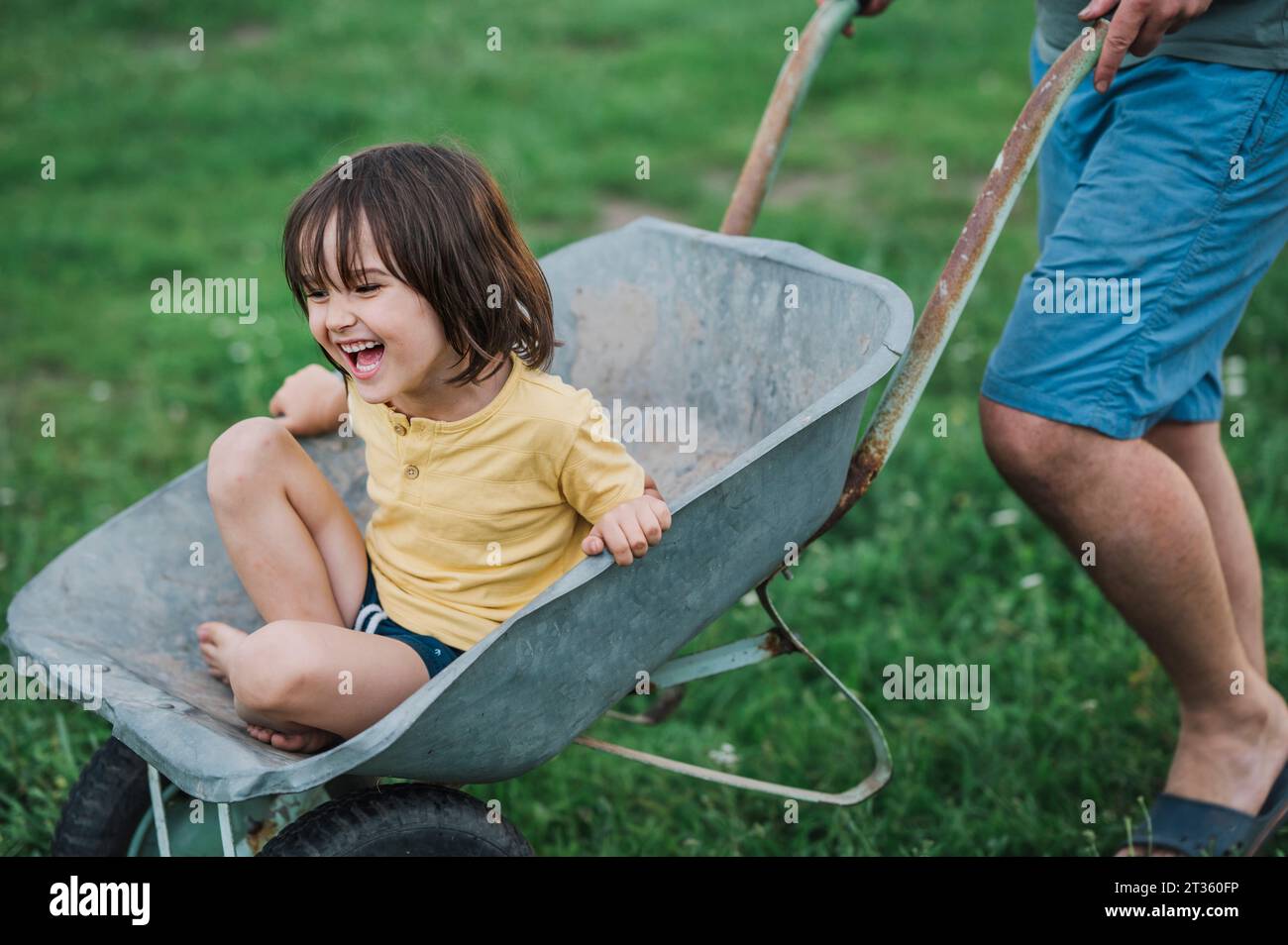 Laughing boy sitting in wheelbarrow pushed by father Stock Photo - Alamy
