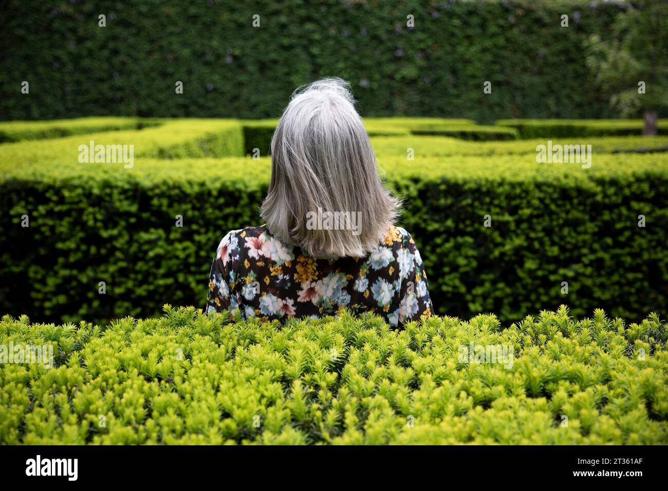 Woman rear view park dress hi-res stock photography and images - Alamy