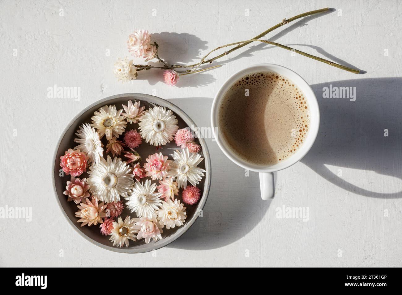 Studio shot of bowl of dried flower heads and mug of coffee Stock Photo
